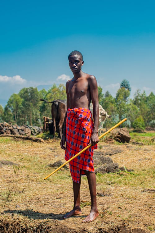 Imagine de stoc gratuită din bărbat african, câmp, fotografiere verticală