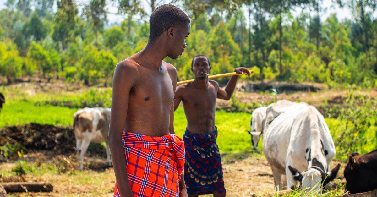 africa