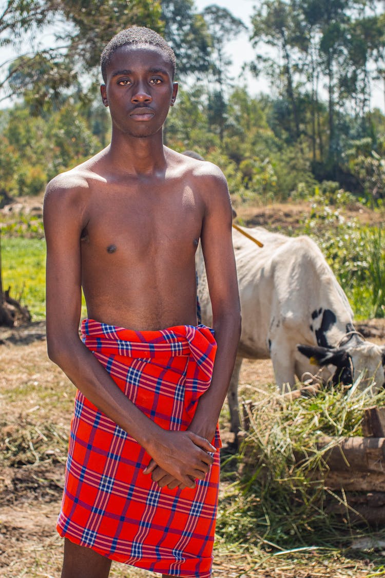 Young Man In Colorful Maasai Shuka Standing On A Cow Pasture