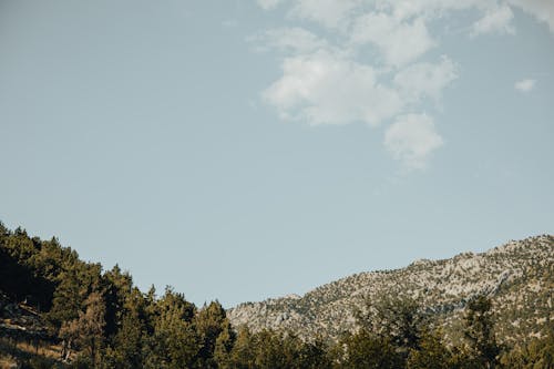 Kostenloses Stock Foto zu bäume, berge, blauer himmel