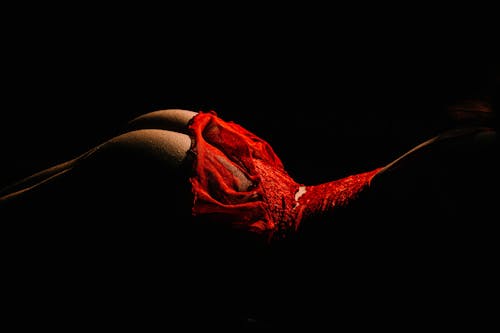 Woman Lying in Red Lace Lingerie