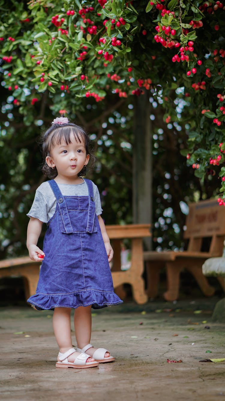 Little Girl In A Garden