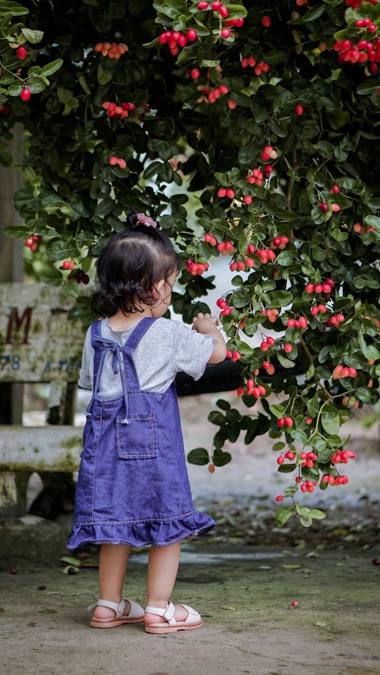 Little Girl In A Garden