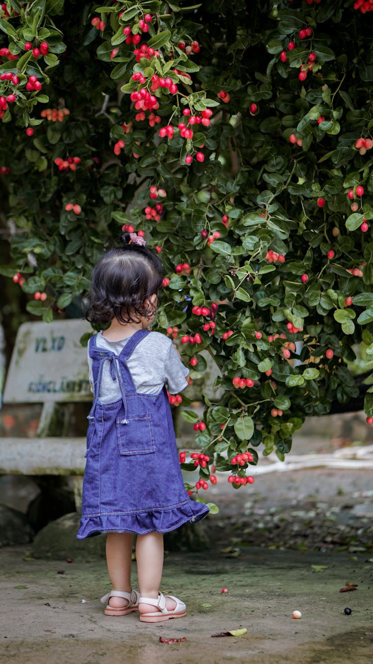 Little Girl In A Garden