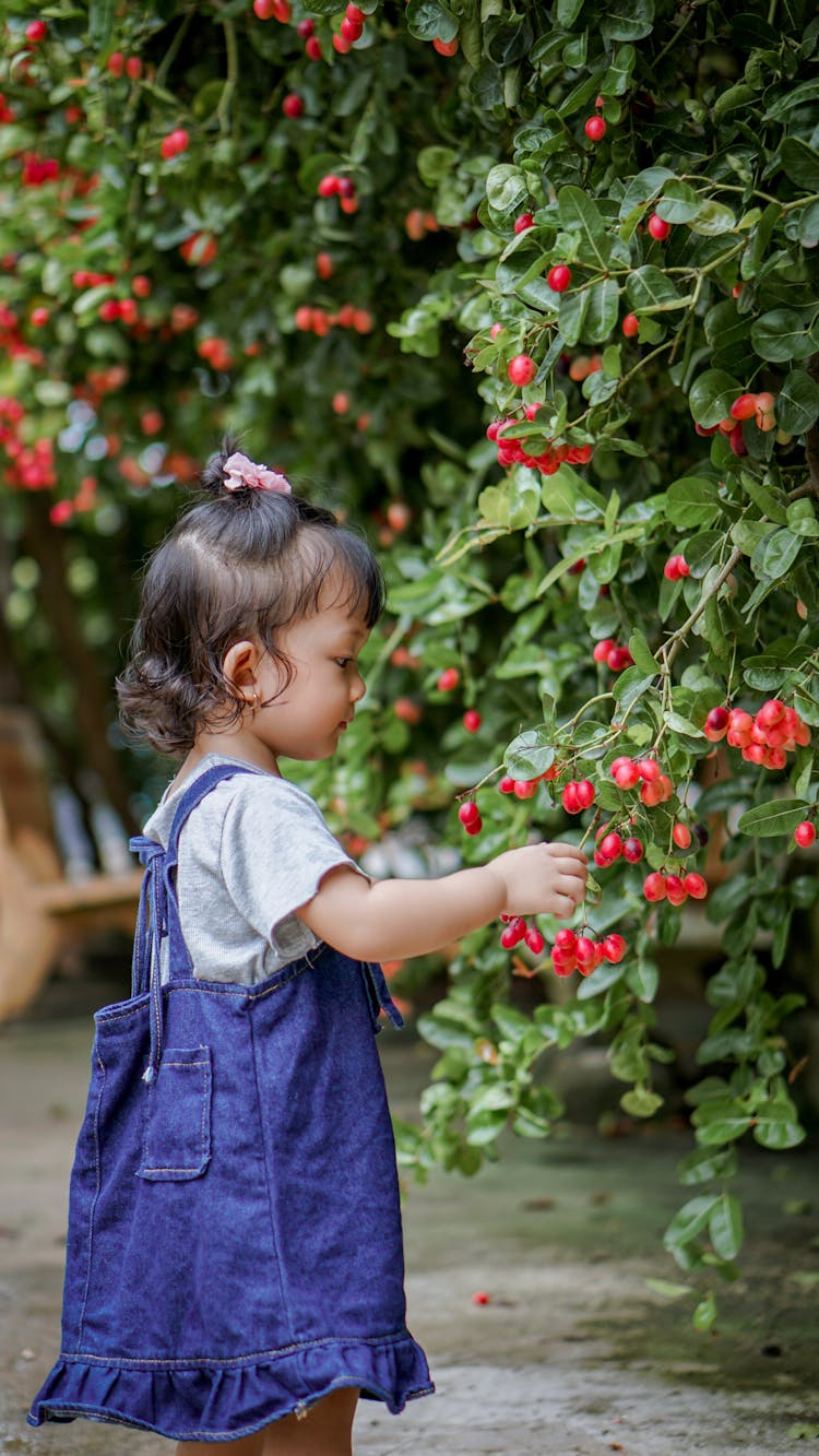 Little Girl In A Garden