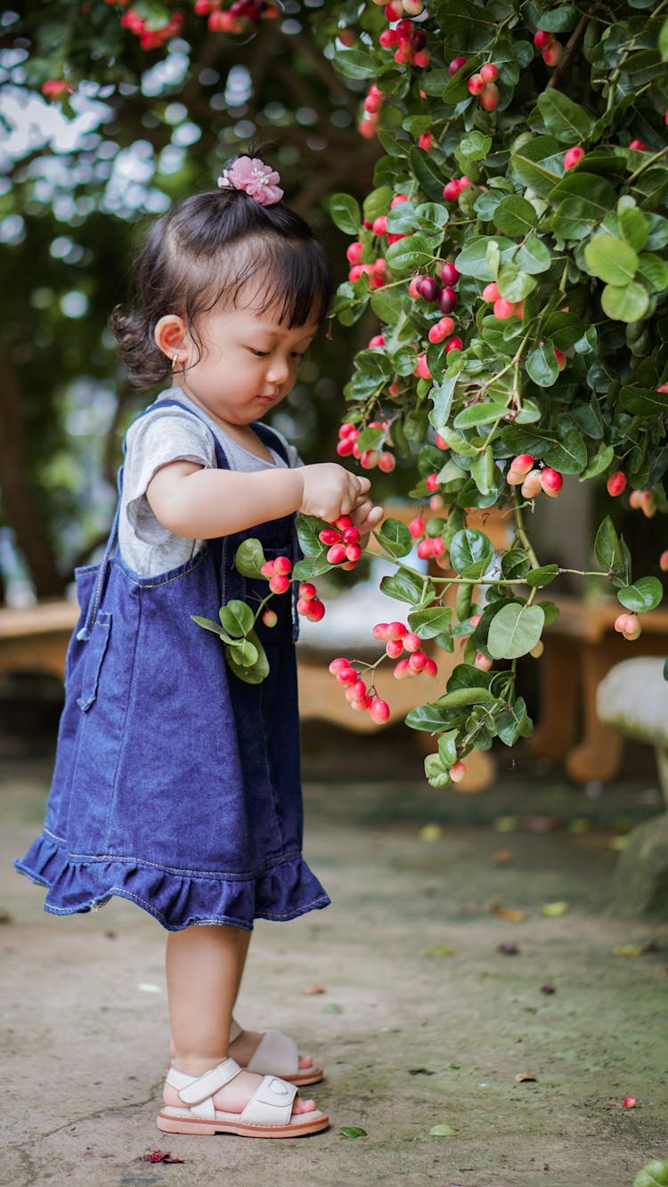 Little Girl In A Garden