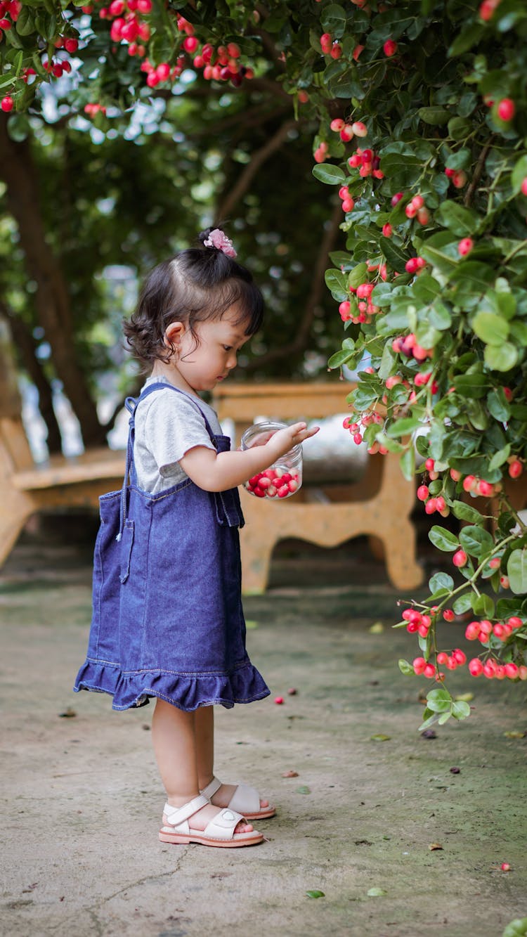 Little Girl In A Yard