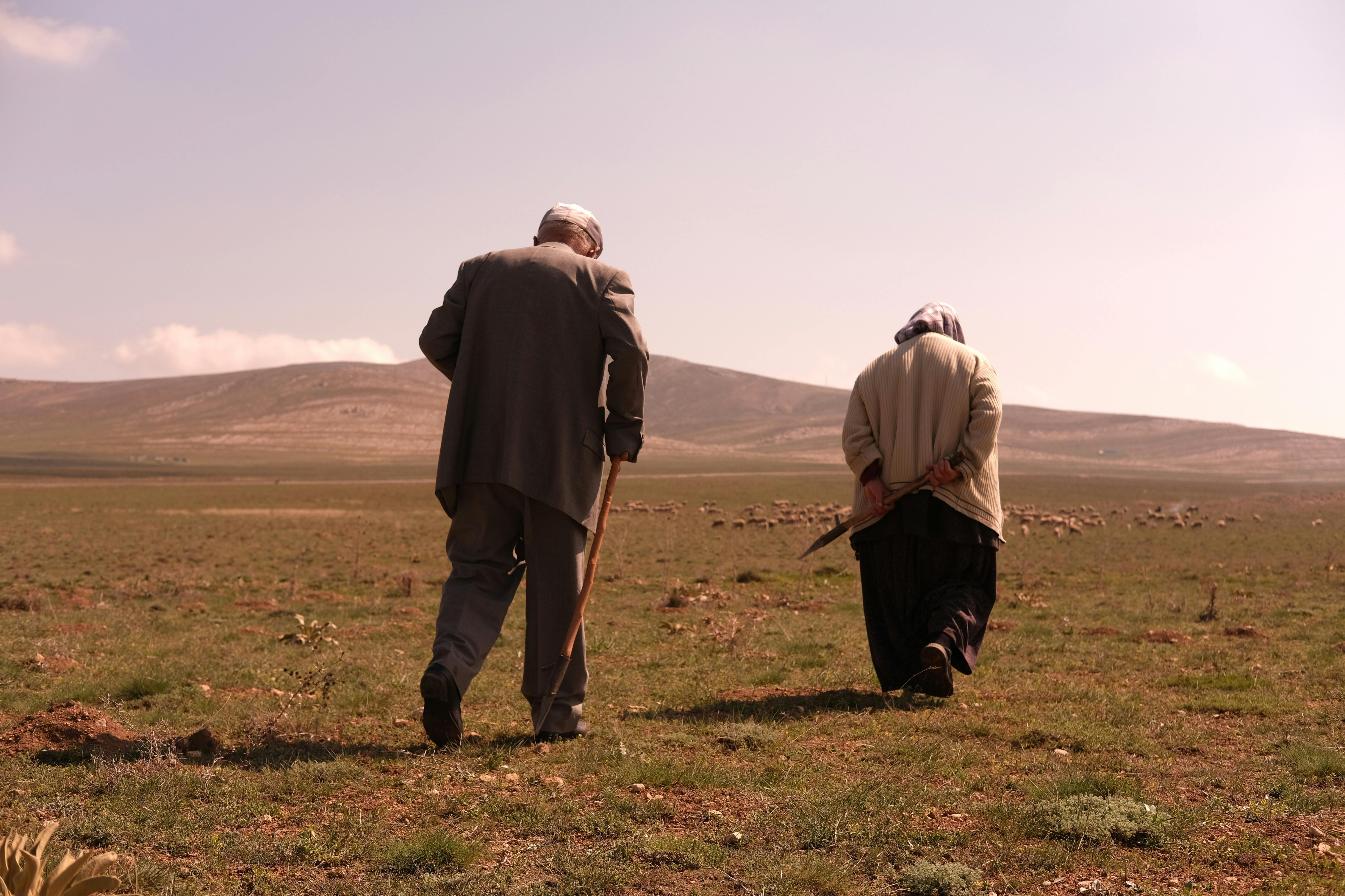 Two senior adults walking through a vast open field under a clear sky, embodying connection with nature.