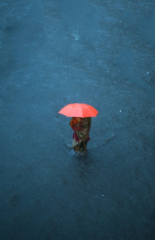 Person with an Umbrella Standing in Water 