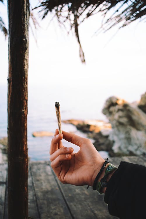 Foto profissional grátis de cigarro, erva, Grécia