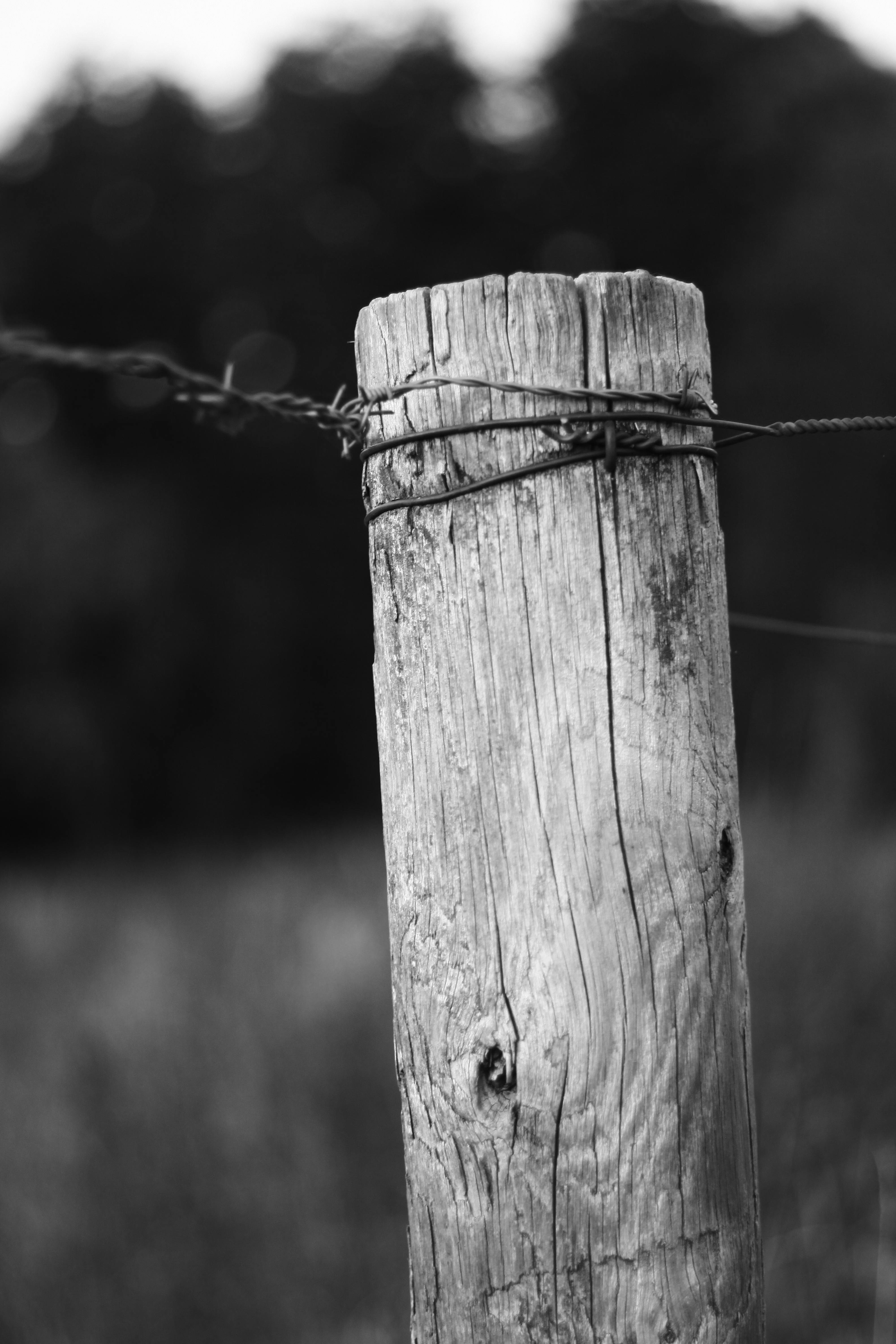 Close-up of a wooden fence post base at ground level