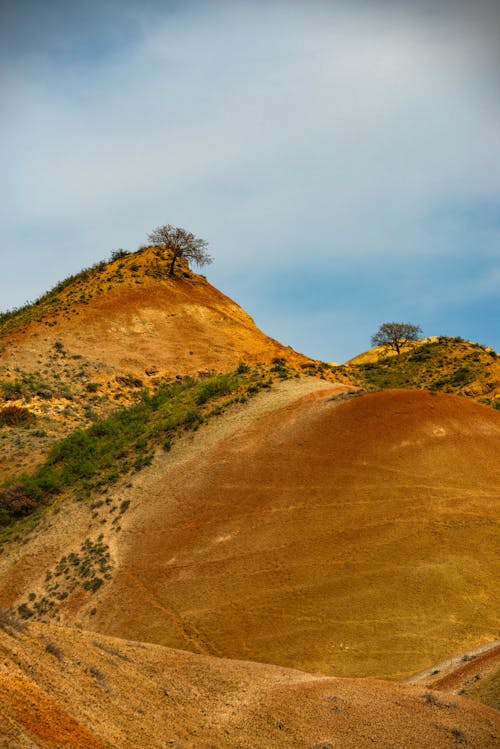 Fotos de stock gratuitas de colina, foto con dron, naturaleza