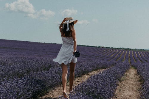 Woman in Hat and Dress Walking on Lavender Field