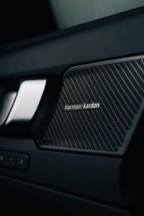 Black Harman Kardon Speaker in a Volvo Car Door