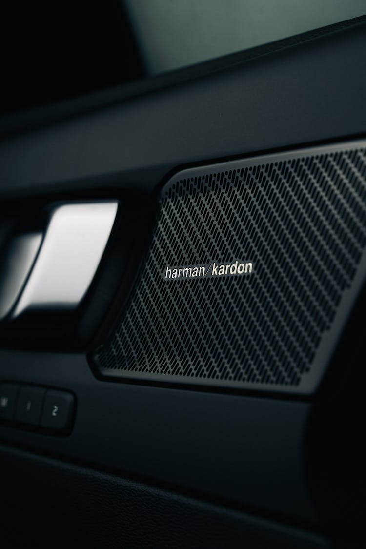 Black Harman Kardon Speaker In A Volvo Car Door