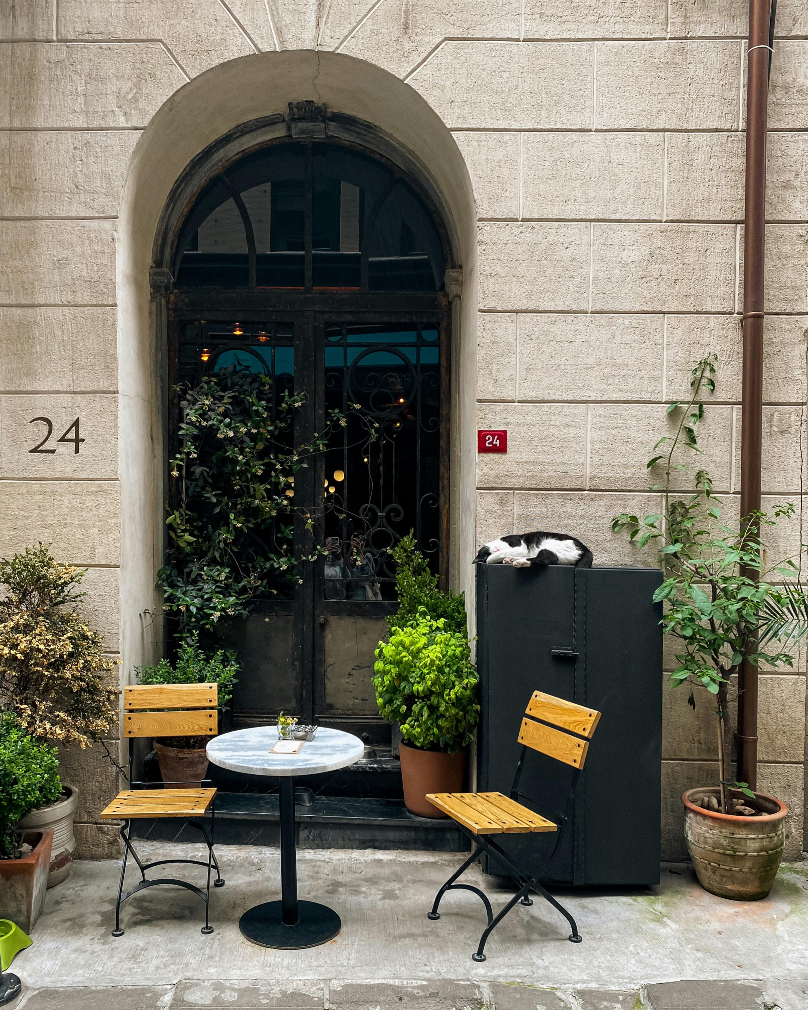 table by cafe and cat lying down near