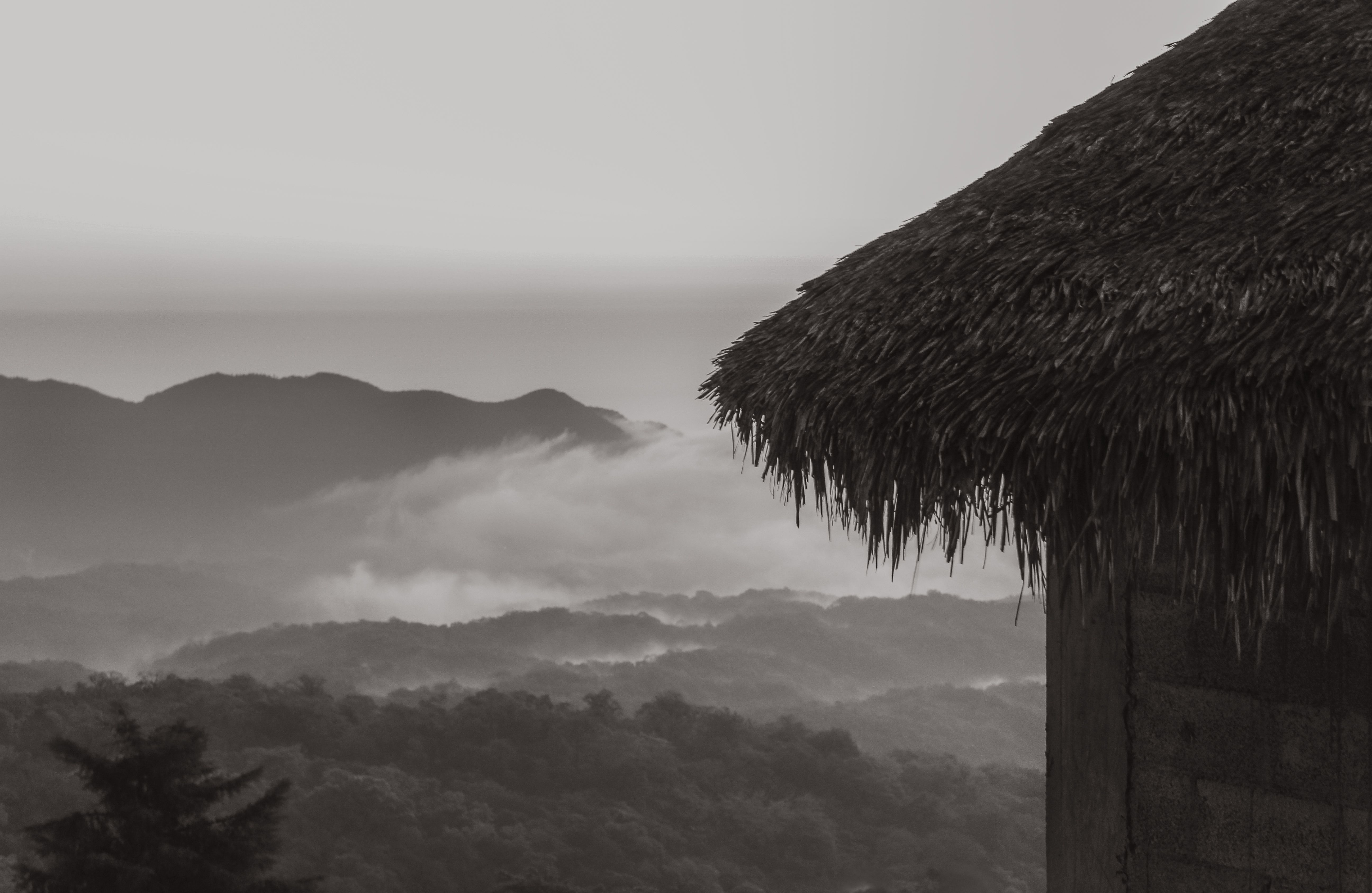 Rooftops and coffee-covered hills on the edge of Marcala, La Paz, Honduras