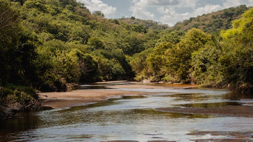 Águas Rasteiras 