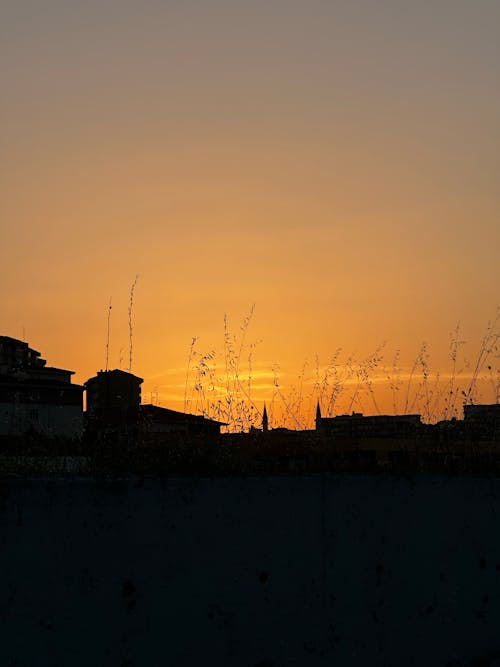 Základová fotografie zdarma na téma slunce, západ slunce