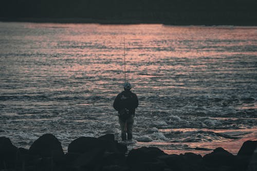 Бесплатное стоковое фото с lakeshore, вид сзади, мужчина