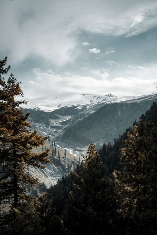 Free Scenic view of snow-capped mountains with lush forests in the foreground. Stock Photo