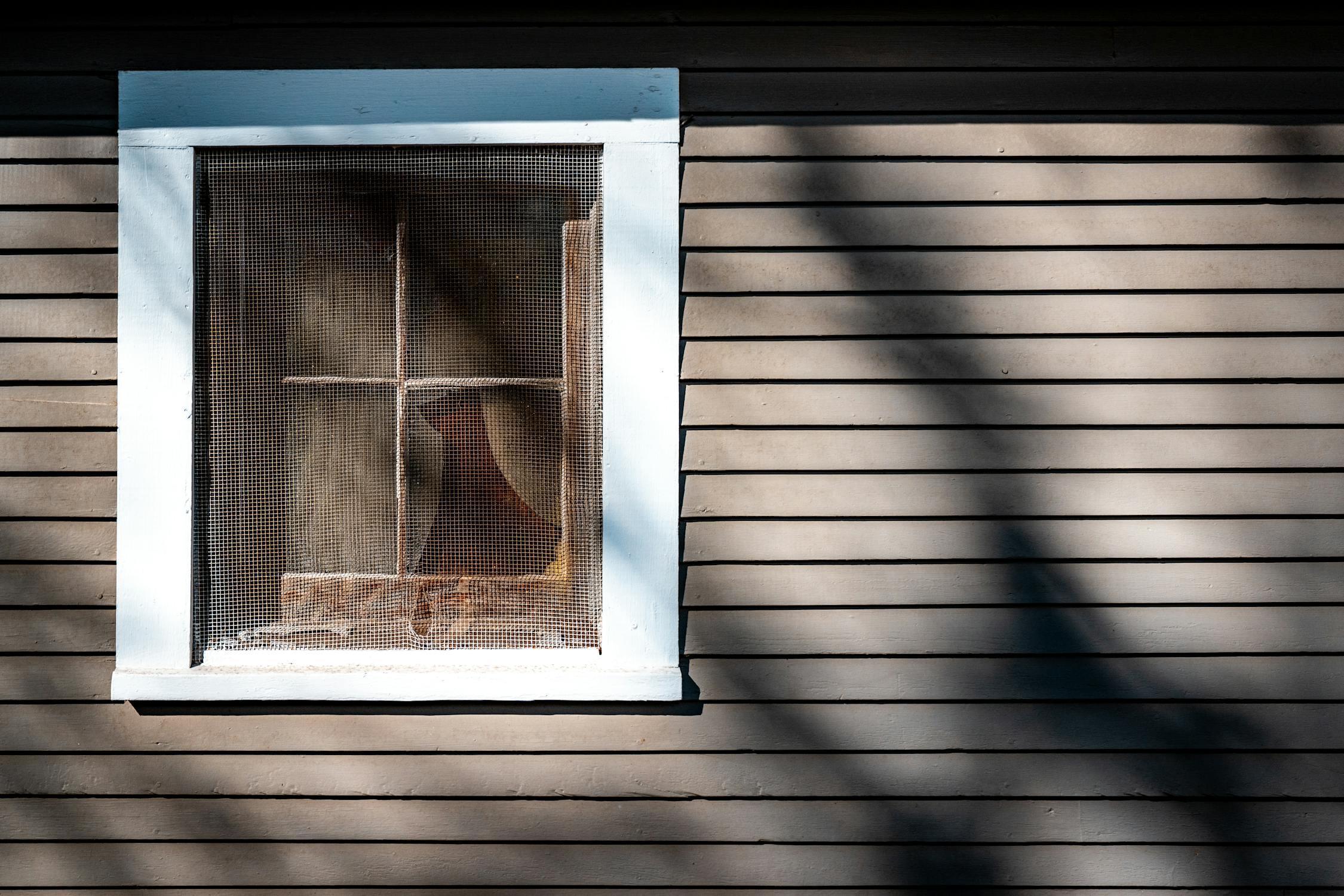 free photo of wall of a house with a window covered with net