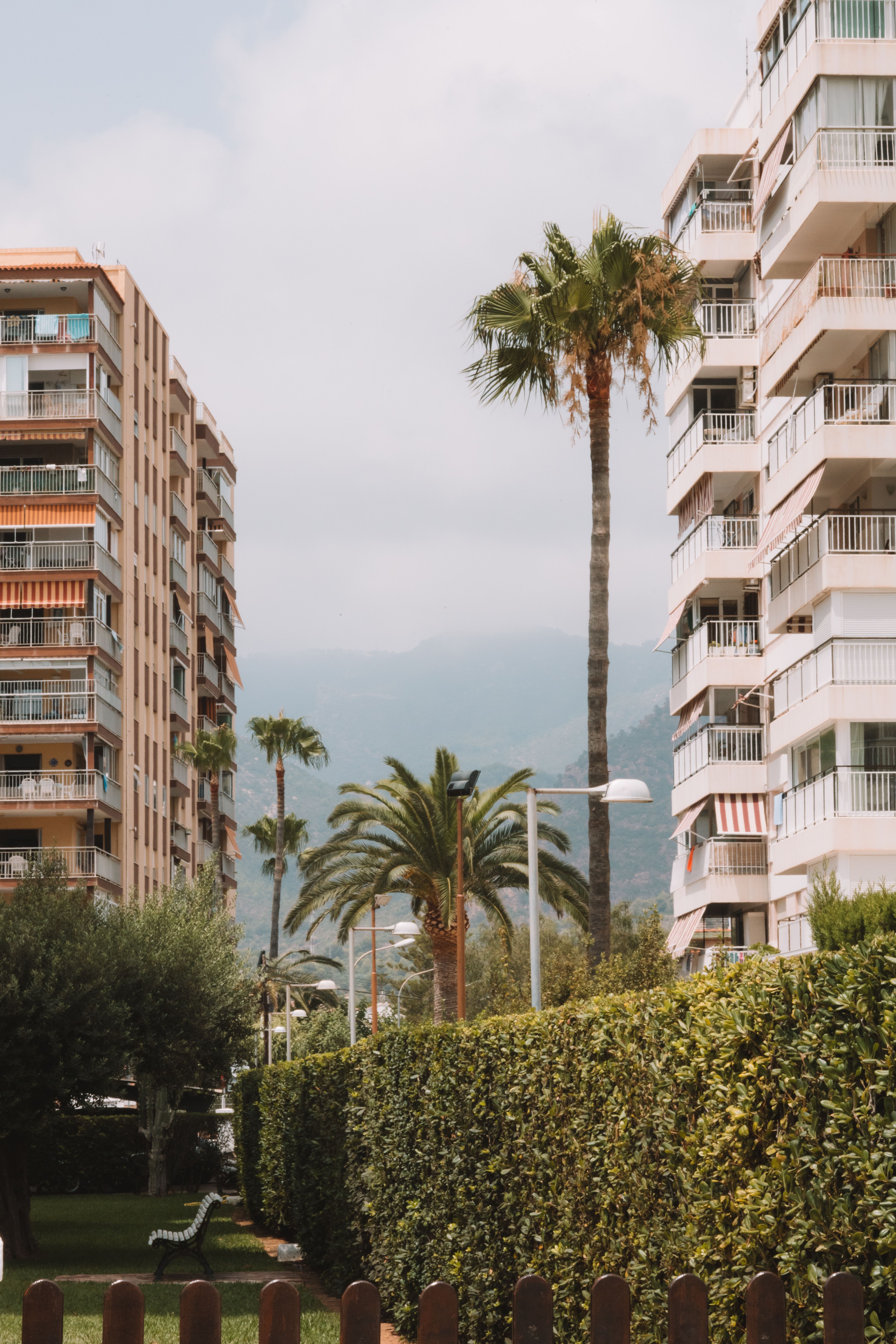 Urbanización con palmeras y jardines en Benidorm