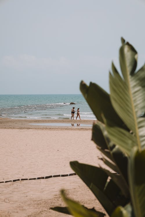 Women Walking on the Beach