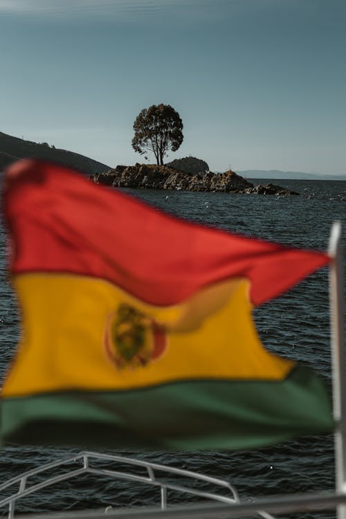 Foto profissional grátis de árvore, bandeira, bolívia