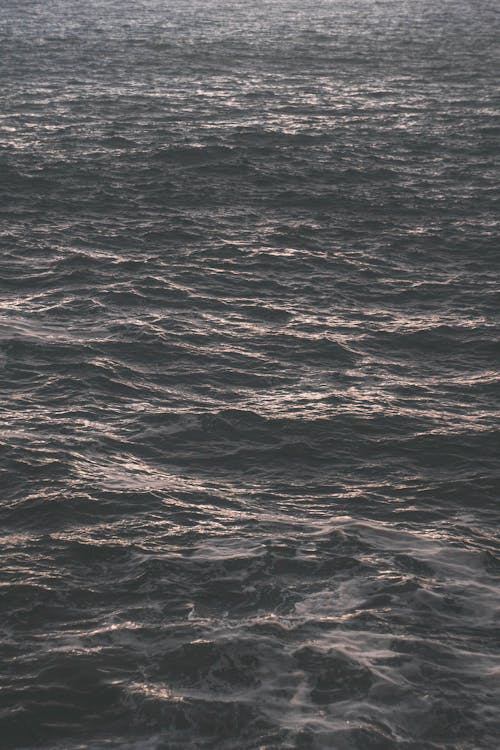 Darmowe zdjęcie z galerii z morze, ocean, pionowy strzał