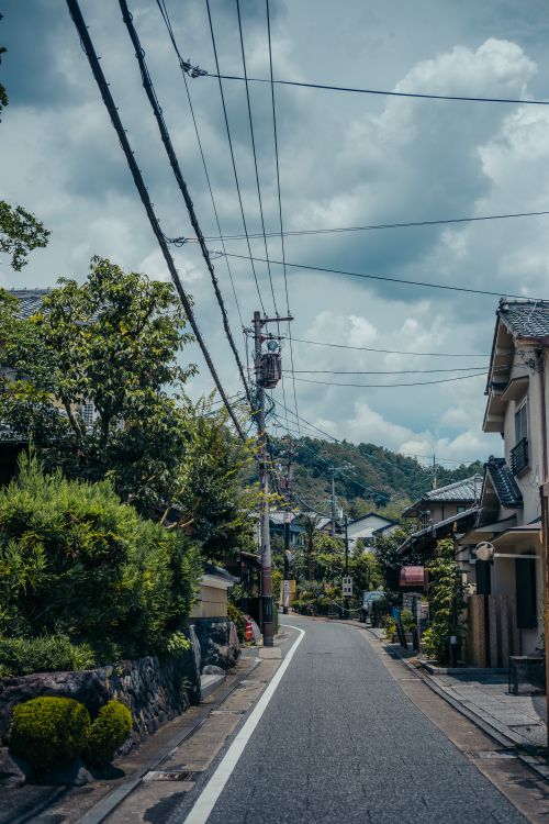 Free A peaceful suburban street lined with houses and power lines under a cloudy sky. Stock Photo