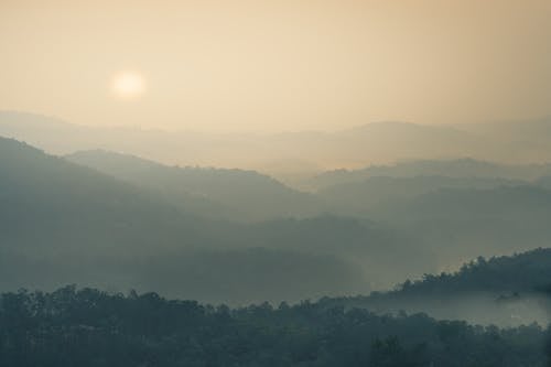 Fog over Forest on Hills