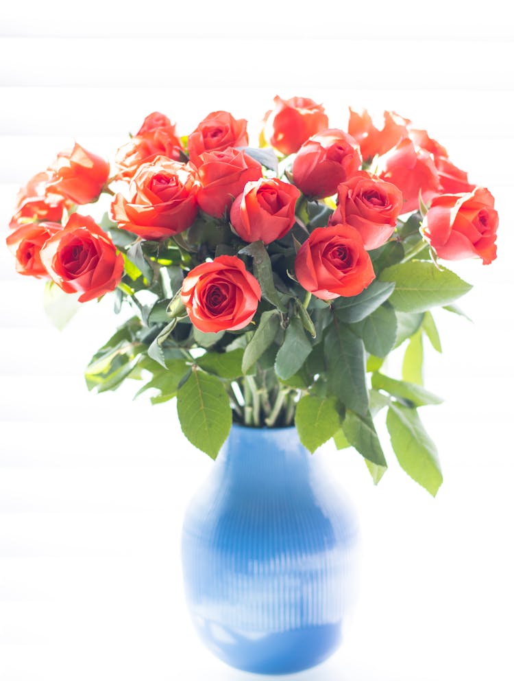 Red Roses In A Vase 