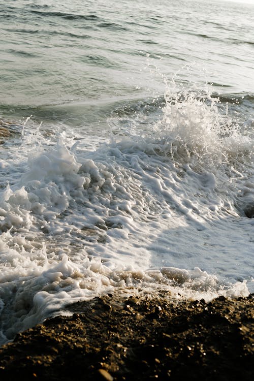Close-up of Foamy Waves on a Shore 