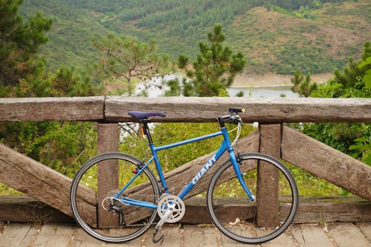A blue bicycle rests on a wooden bridge with a scenic view of lush green hills and a lake in Istanbul, Turkey.