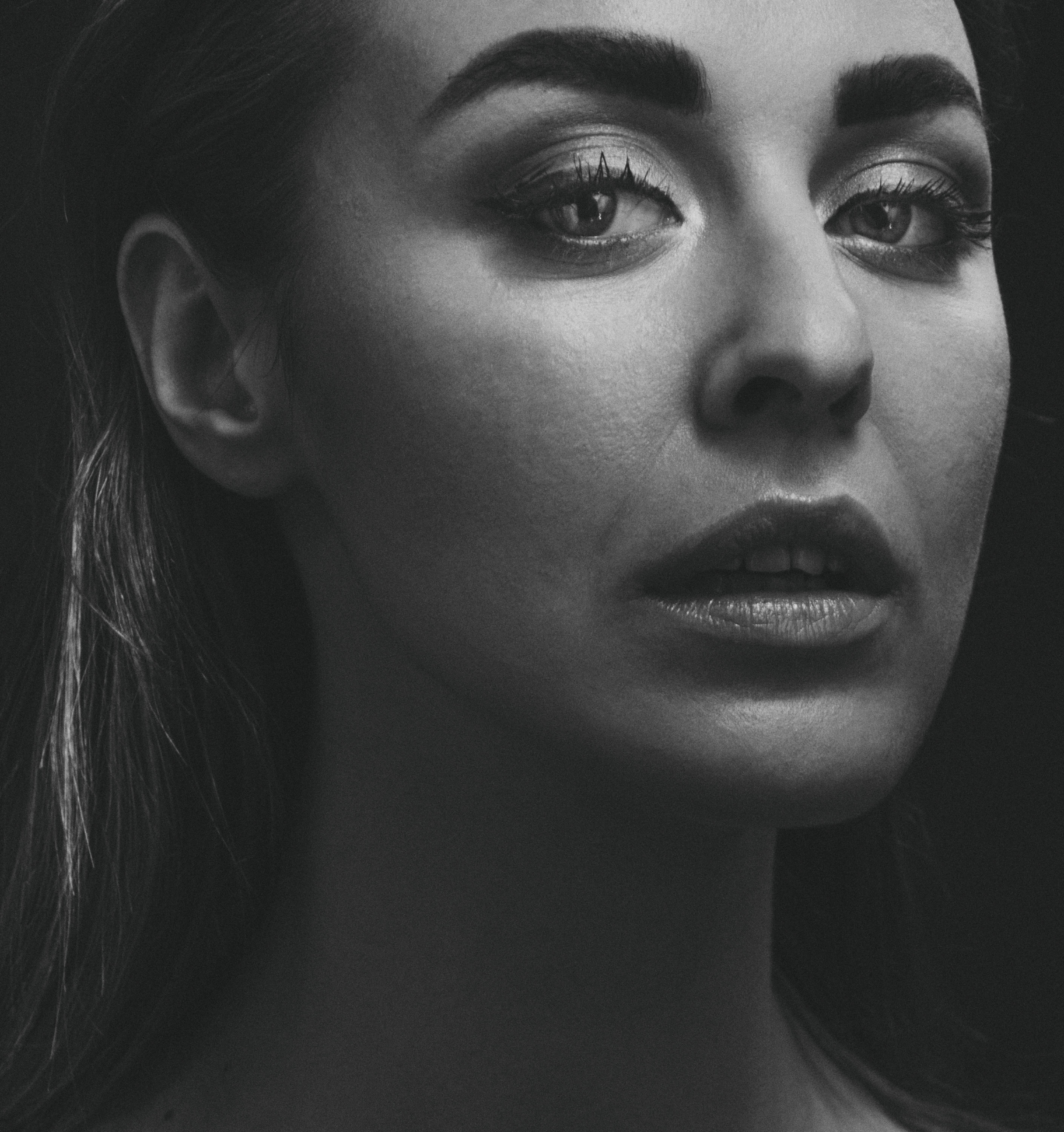 Face of Model · Free Stock Photo