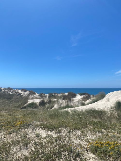 Free Serene coastal sand dunes with clear blue sky and ocean view, capturing the beauty of summer nature. Stock Photo