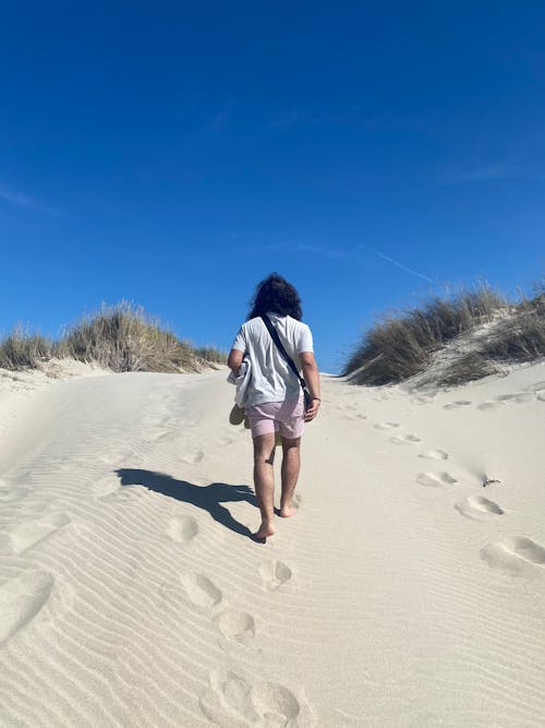 Foto d'estoc gratuïta de cel blau, Costa, d'esquena