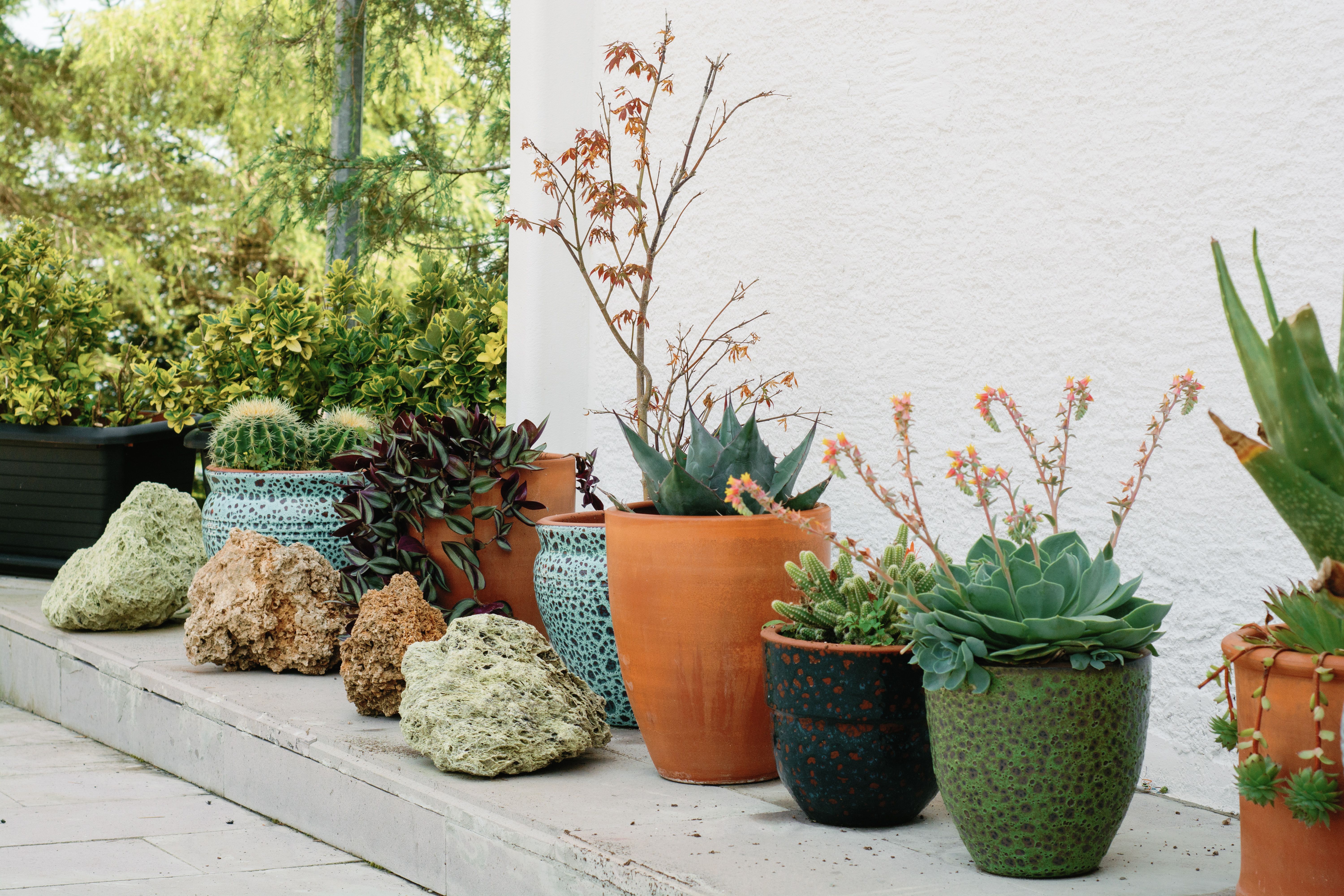 A Landscape Designer’s Favorite Gardening Tools — Photo by Nadiye Odabaşı on Pexels
