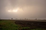 A misty sunrise over a rural farmland in Minnesota, creating a serene landscape.