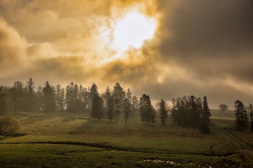 Scenic Rural Landscape with Sun Blurred with Clouds