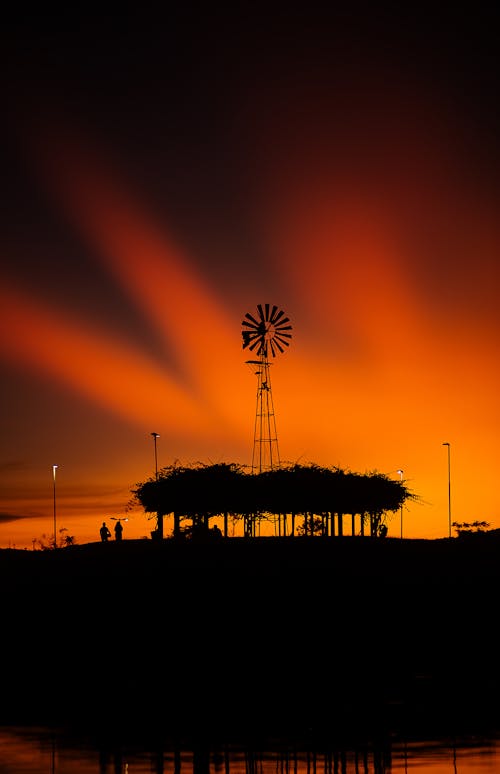 Gratis stockfoto met bomen, decor, gele lucht