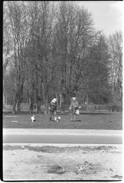 Free Black and white image of two people walking dogs in an urban park with bare trees. Stock Photo