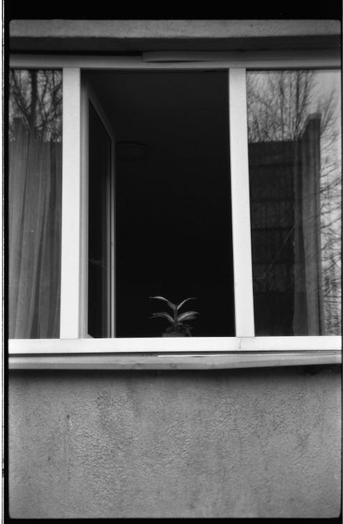 Foto d'estoc gratuïta de barris residencials, blanc i negre, finestra