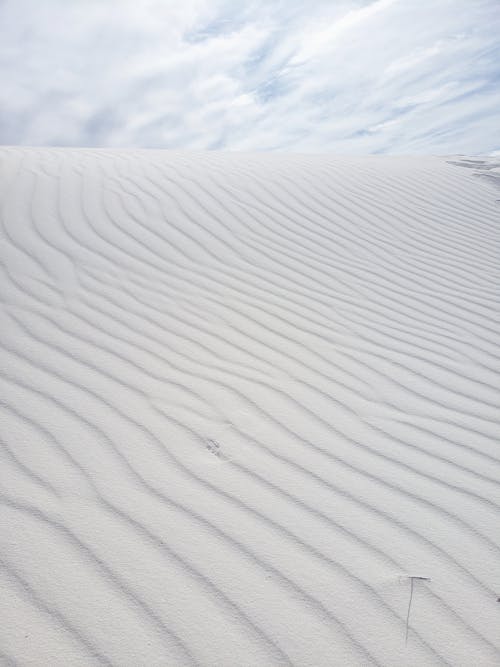Wrinkled Desert Dune