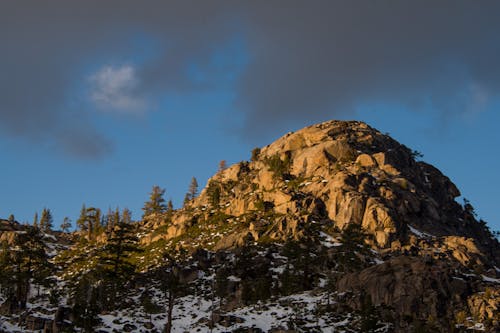 Photos gratuites de arbres, étendue sauvage, lumière du soleil