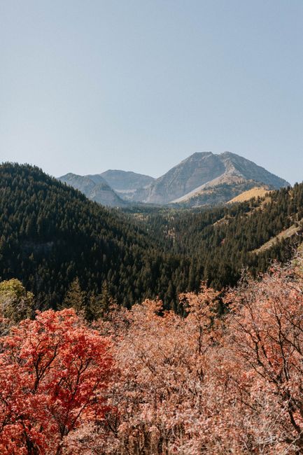 Breathtaking autumn view of mountains in American Fork, Utah with vibrant foliage and clear skies.