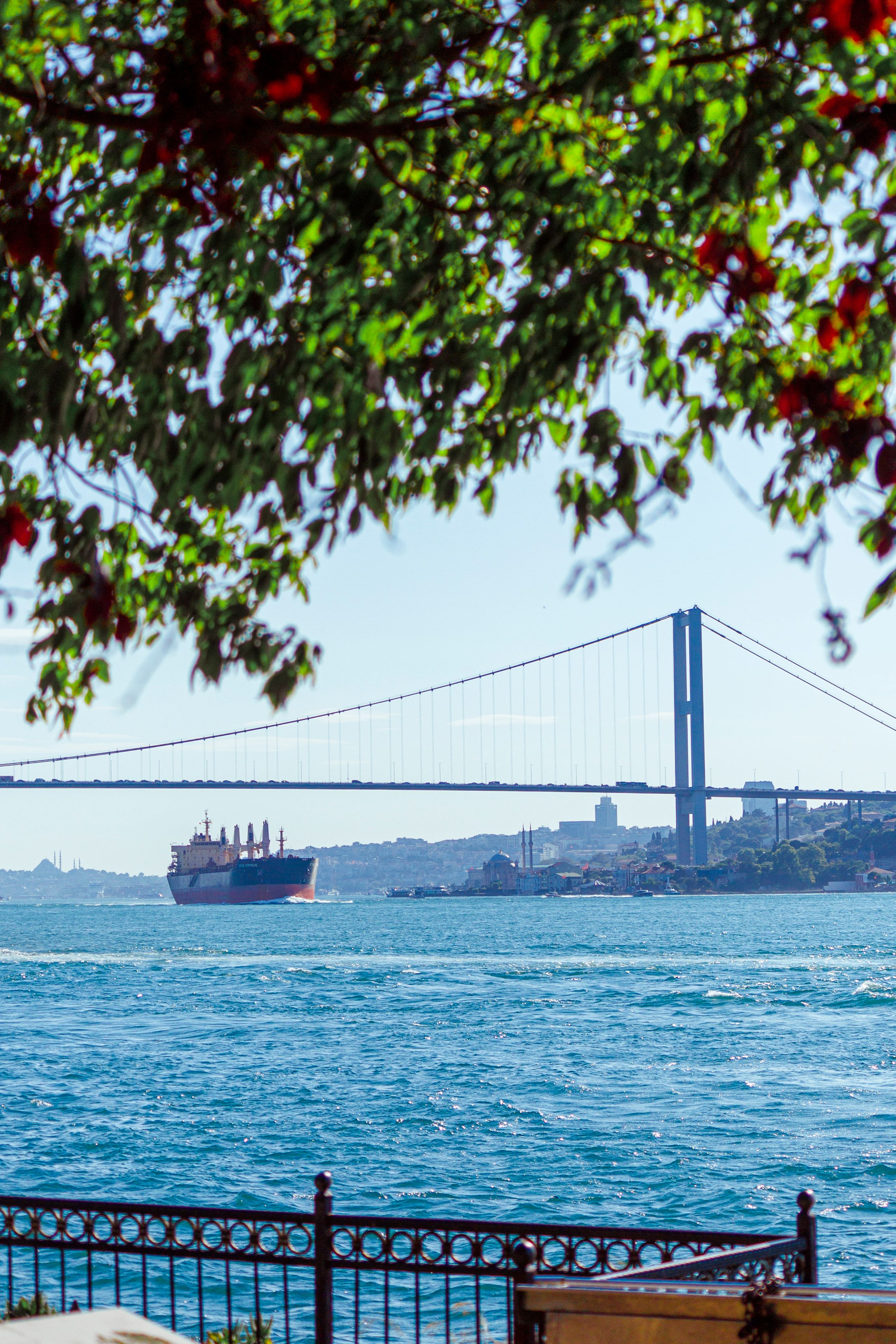 Industrial Ship Sailing under Bridge in Istanbul · Free Stock Photo