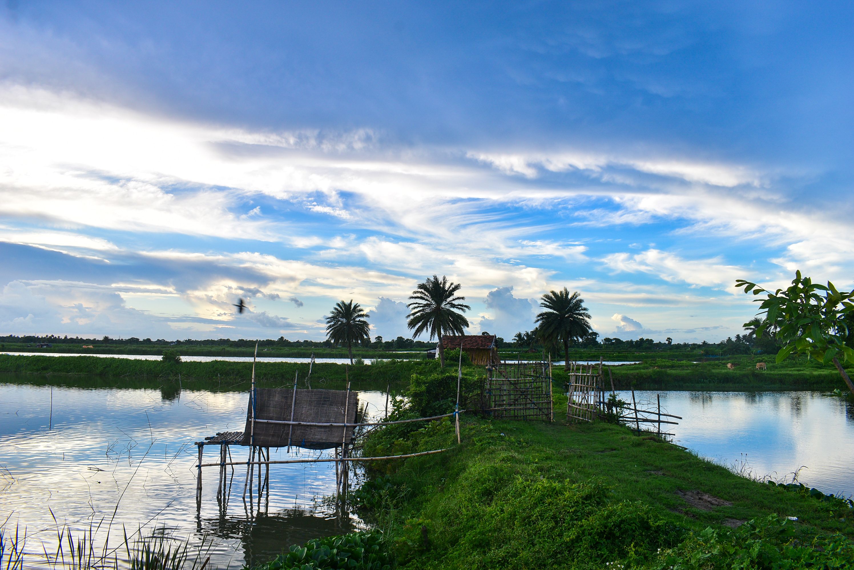 Debendra Das - Photographie