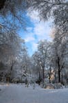 Free Δωρεάν στοκ φωτογραφιών με λειτουργία πορτρέτου, χιόνι Stock Photo